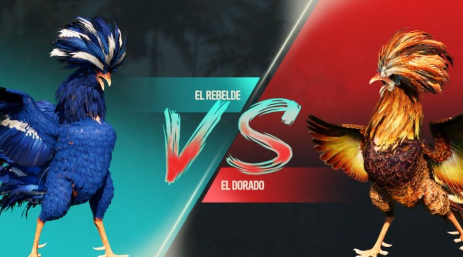 Hướng dẫn chơi đá gà SV388 chi tiết nhất 9 Hướng dẫn chơi đá gà SV388 chi tiết nhất