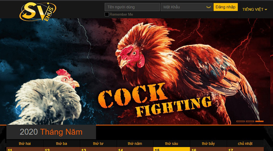 Top 5 trang web cá cược đá gà uy tín bậc nhất hiện nay 5 Top 2: Nhà cái đá gà SV388