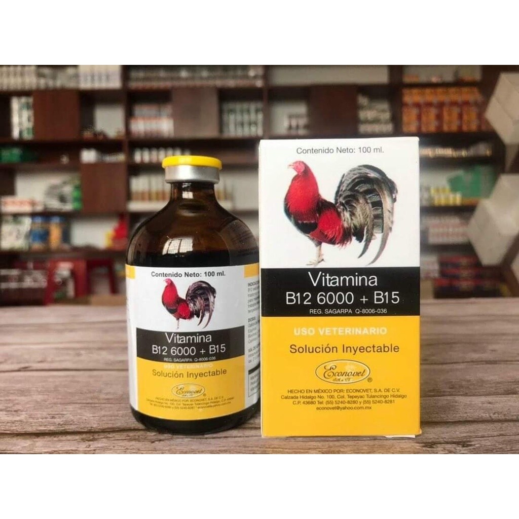 Tổng hợp các loại thuốc tăng bo cho gà đá hiệu quả 4 Thuốc tăng lực B12 6000 cho gà đá hiện nay được nhiều người lựa chọn