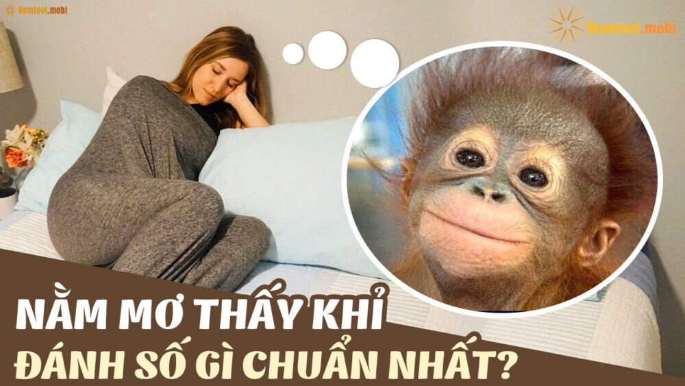 Giải mã nằm mơ thấy khỉ chuẩn xác nhất hiện nay 9 Image 13